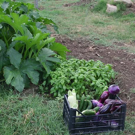 Agriturismo Caforchio